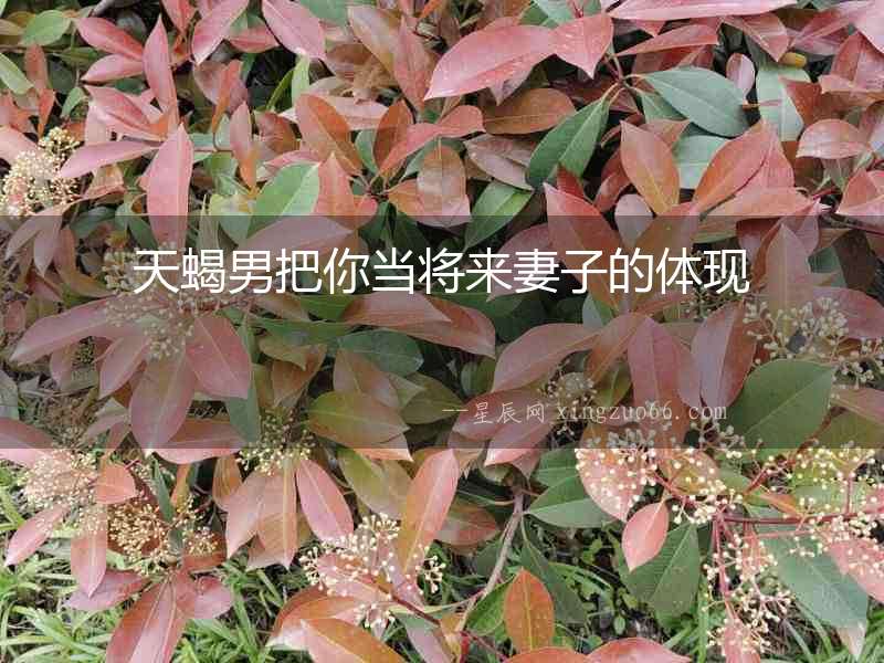 天蝎男把你當(dāng)將來妻子的體現(xiàn)