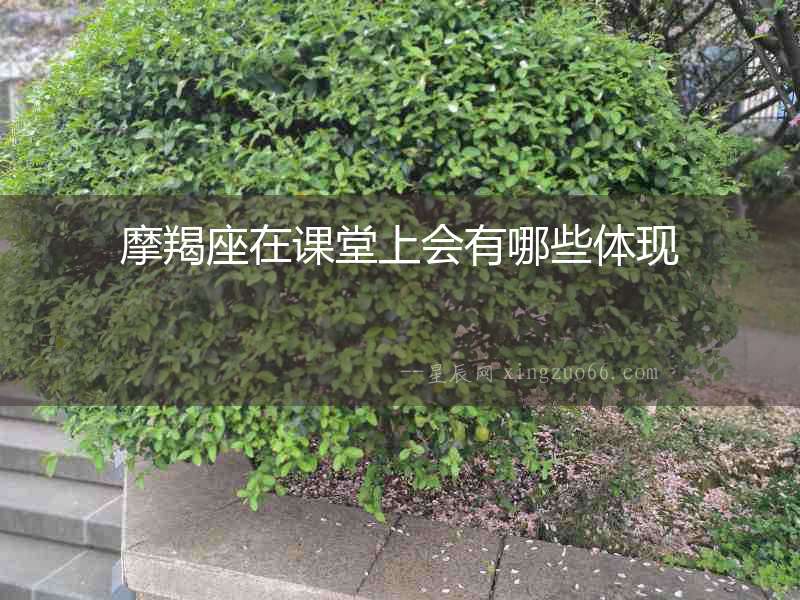 摩羯座在課堂上會(huì)有哪些體現(xiàn)