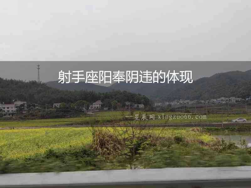 射手座陽奉陰違的體現
