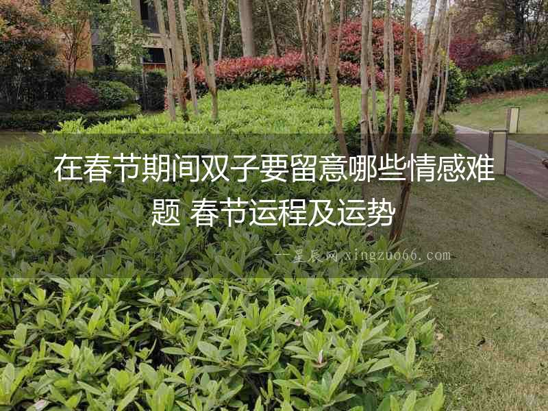 在春節(jié)期間雙子要留意哪些情感難題 春節(jié)運(yùn)程及運(yùn)勢(shì)