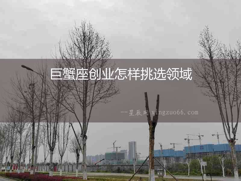 巨蟹座創(chuàng)業(yè)怎樣挑選領域