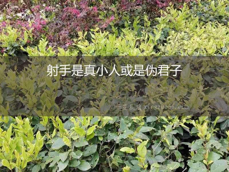 射手是真小人或是偽君子