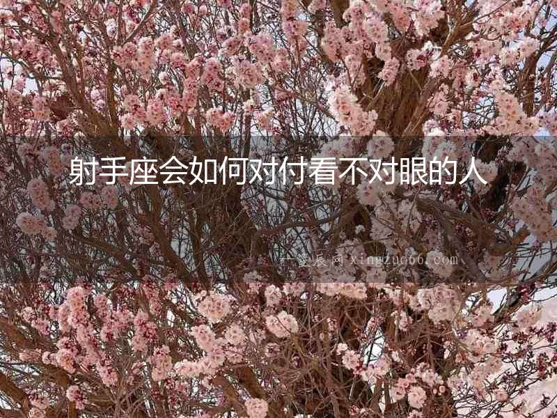 射手座會如何對付看不對眼的人