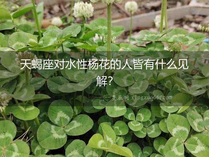 天蝎座對(duì)水性楊花的人皆有什么見解？