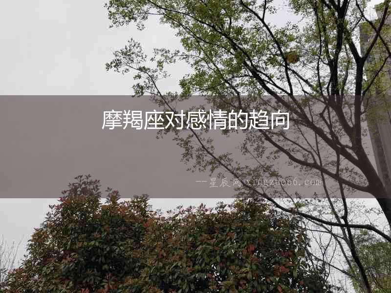 摩羯座對(duì)感情的趨向