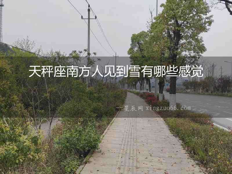 天秤座南方人見到雪有哪些感覺