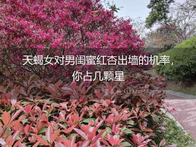 天蝎女對(duì)男閨蜜紅杏出墻的機(jī)率，你占幾顆星