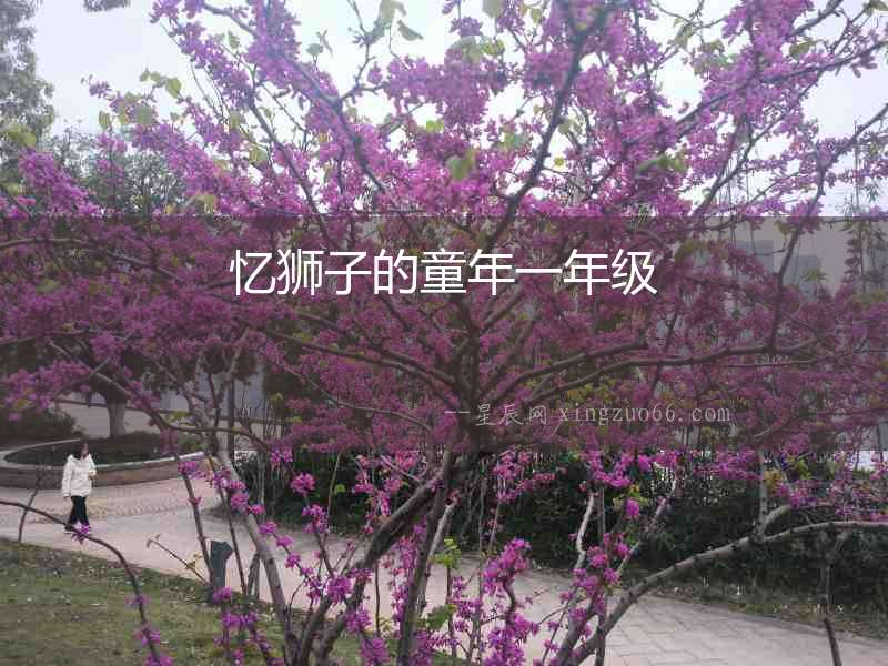 憶獅子的童年一年級(jí)