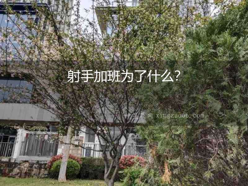 射手加班為了什么？