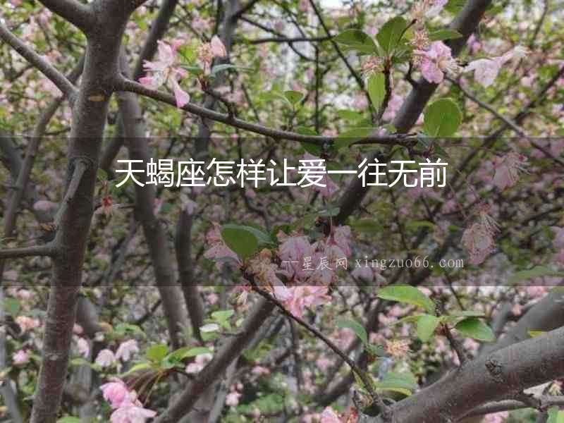 天蝎座怎樣讓愛(ài)一往無(wú)前