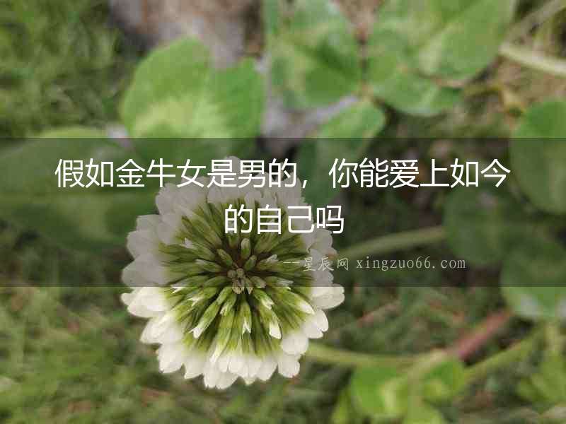 假如金牛女是男的,你能愛上如今的自己?jiǎn)? alt=
