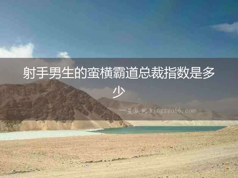 射手男生的蠻橫霸道總裁指數是多少