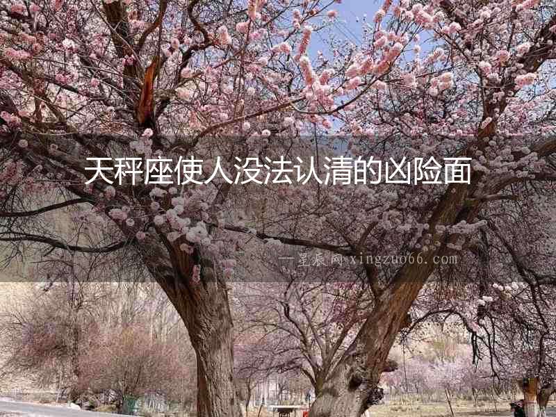 天秤座使人沒(méi)法認(rèn)清的兇險(xiǎn)面