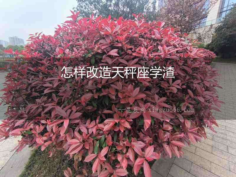 怎樣改造天秤座學渣