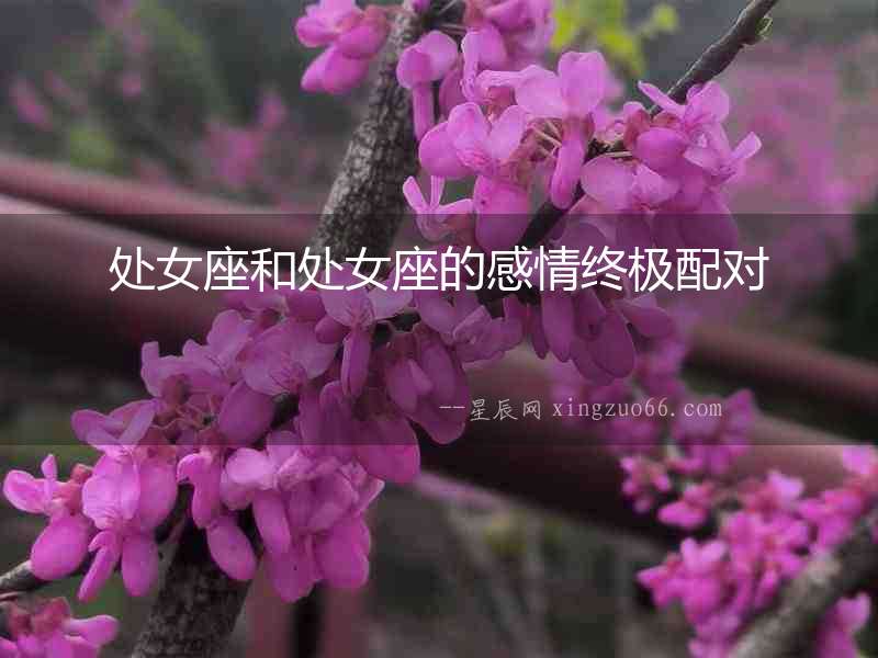 處女座和處女座的感情終極配對