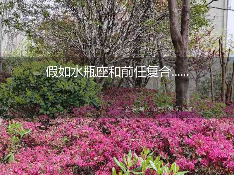 假如水瓶座和前任復(fù)合......