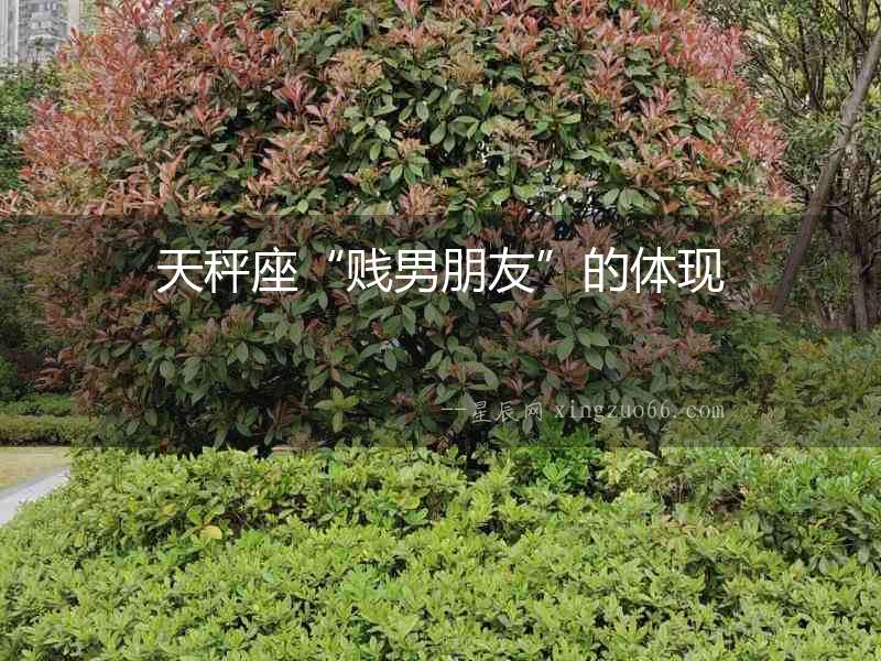 天秤座“賤男朋友”的體現