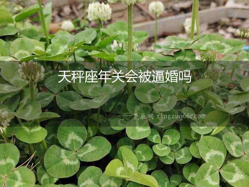 天秤座年關(guān)會被逼婚嗎