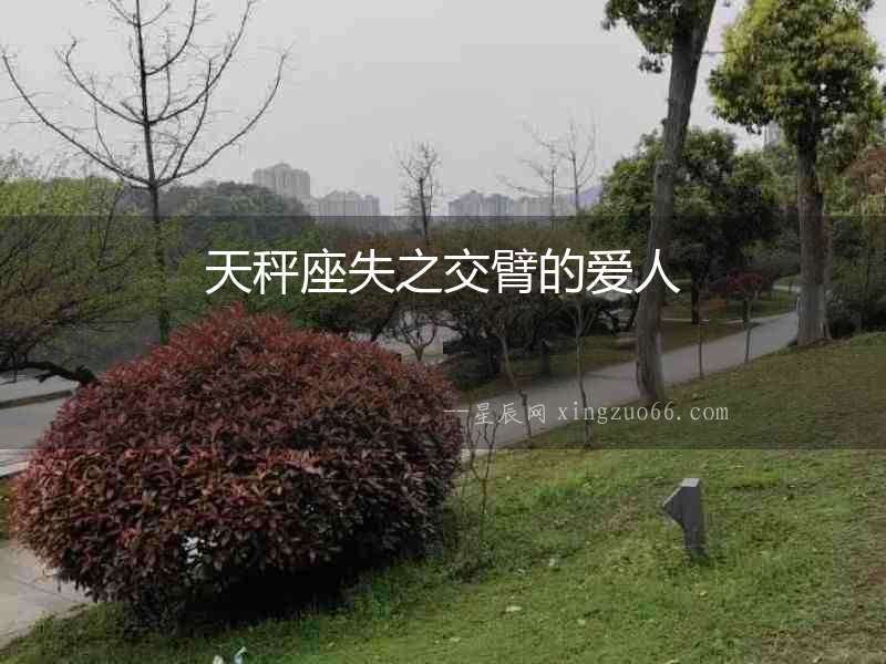 天秤座失之交臂的愛人