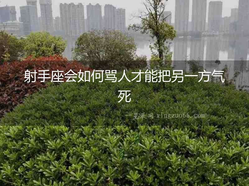 射手座會(huì)如何罵人才能把另一方氣死
