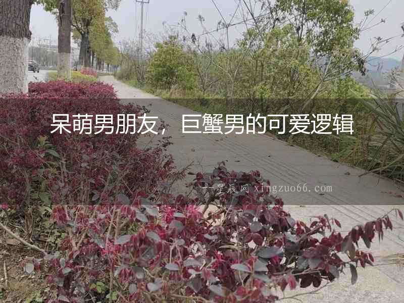 呆萌男朋友，巨蟹男的可愛(ài)邏輯