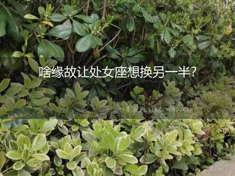 啥緣故讓處女座想換另一半？