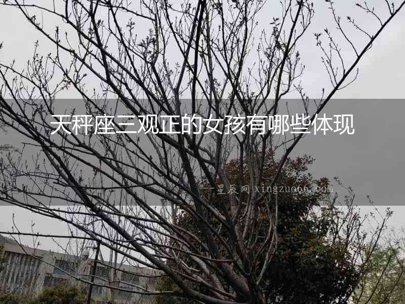 天秤座三觀正的女孩有哪些體現