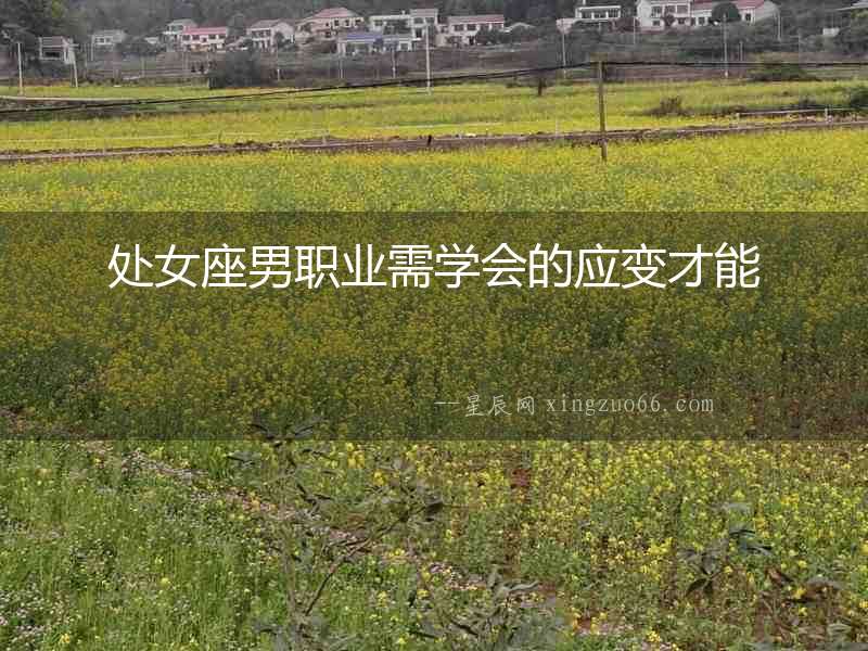 處女座男職業需學會的應變才能