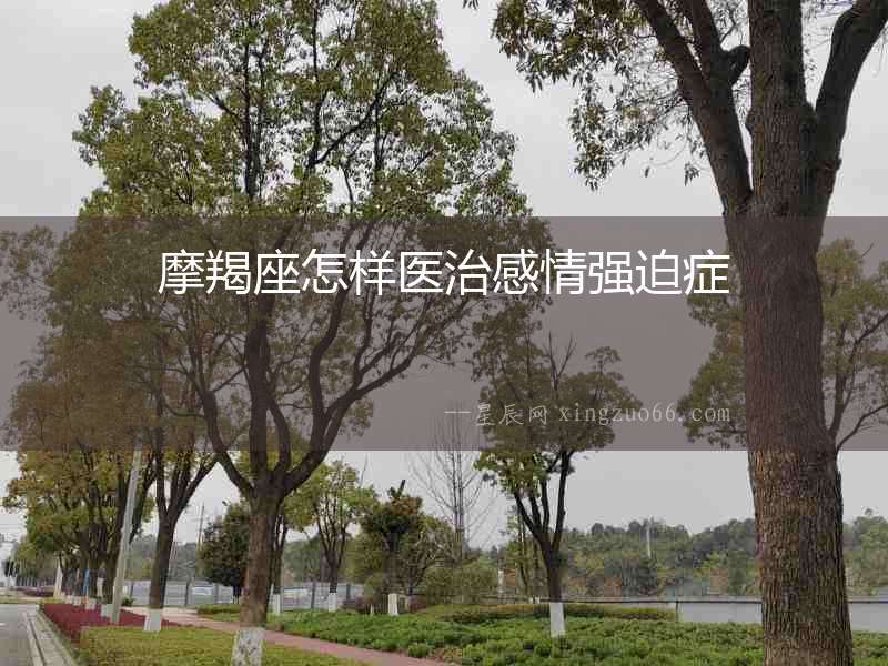摩羯座怎樣醫(yī)治感情強(qiáng)迫癥