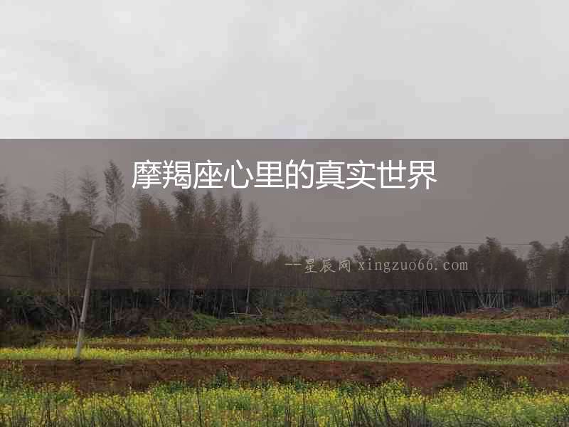 摩羯座心里的真實(shí)世界