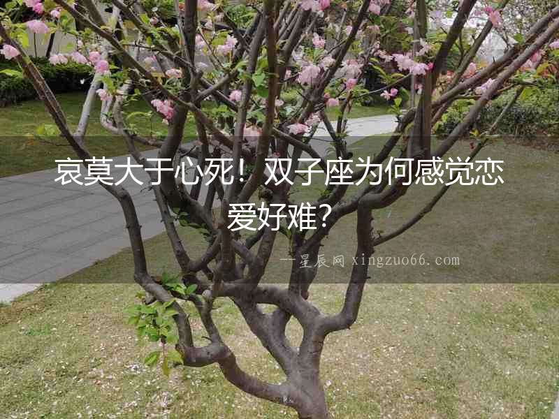 哀莫大于心死！雙子座為何感覺戀愛好難？