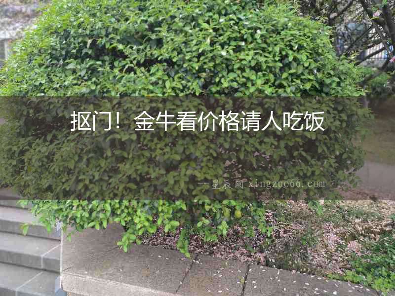 摳門！金牛看價格請人吃飯