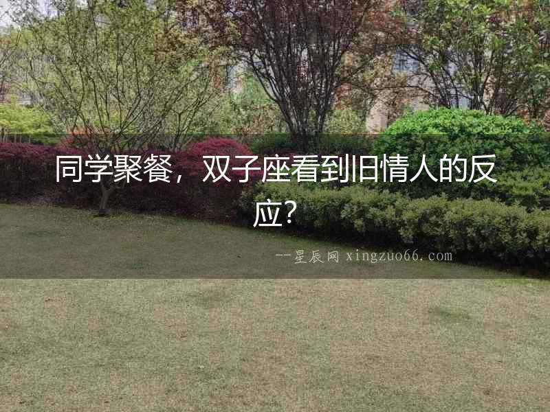 同學(xué)聚餐，雙子座看到舊情人的反應(yīng)？