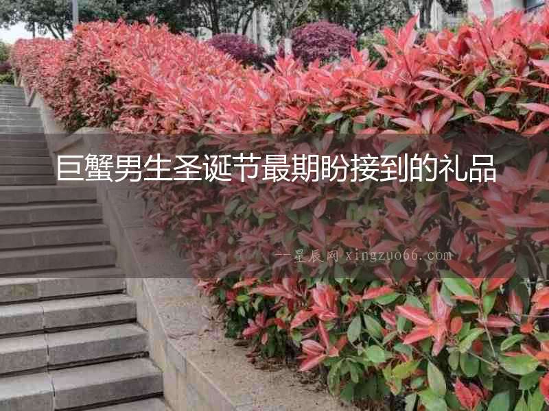 巨蟹男生圣誕節(jié)最期盼接到的禮品
