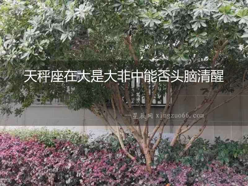 天秤座在大是大非中能否頭腦清醒