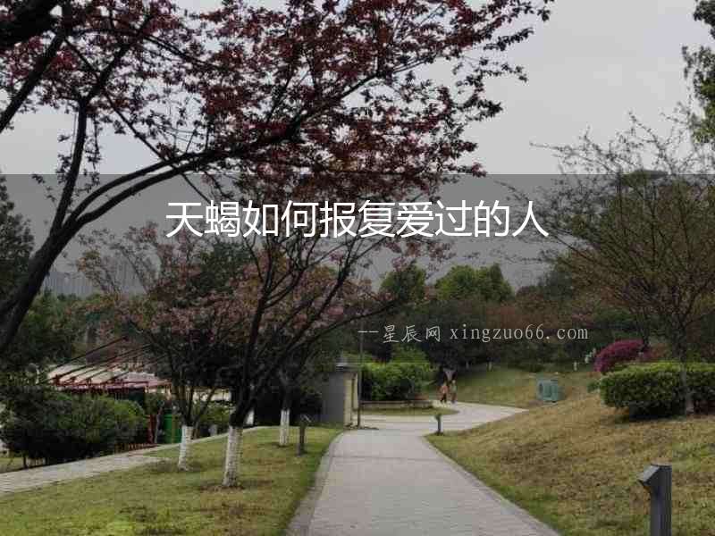天蝎如何報復(fù)愛過的人