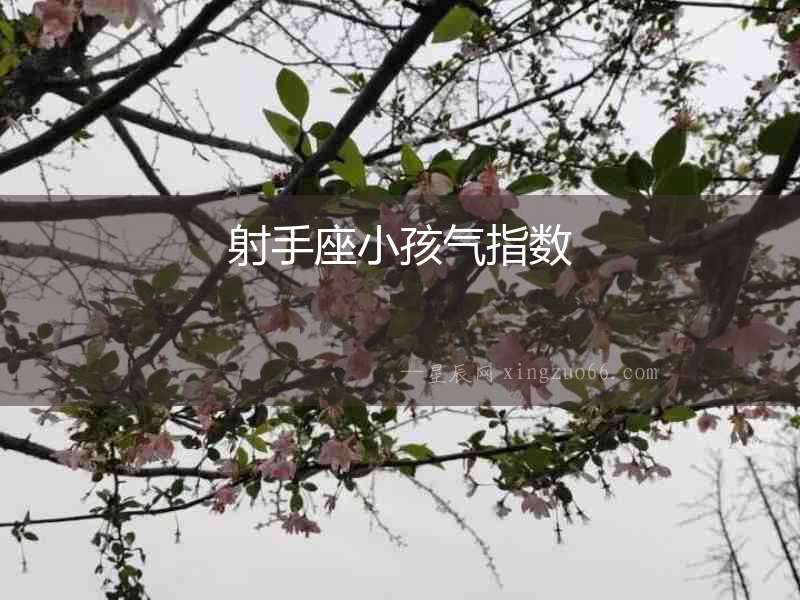 射手座小孩氣指數(shù)