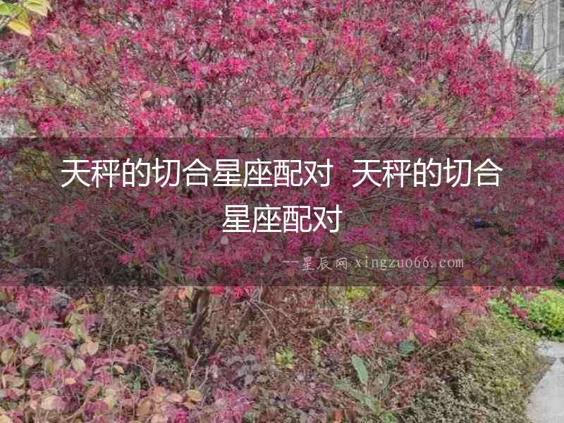 天秤的切合星座配對  天秤的切合星座配對