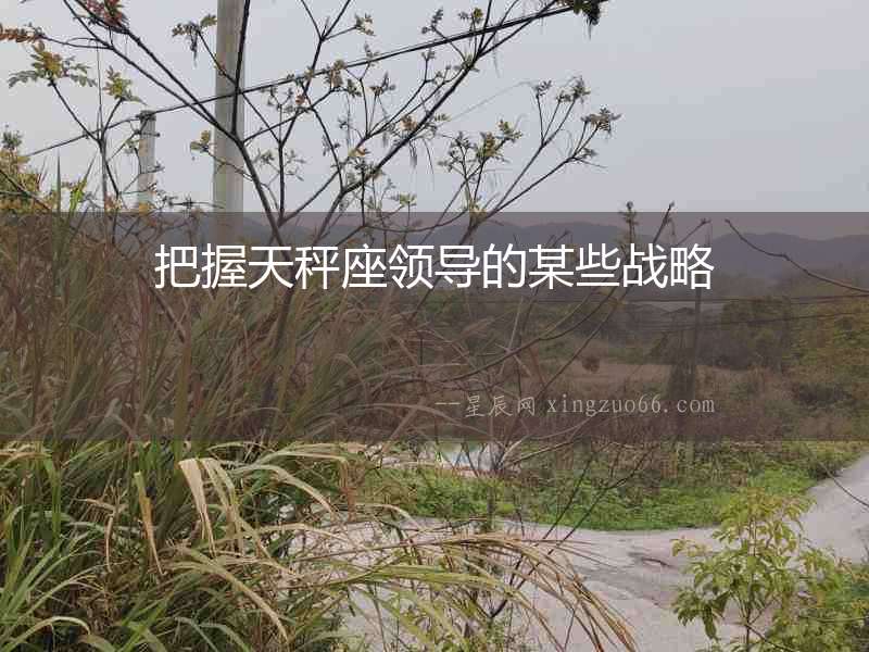 把握天秤座領導的某些戰略