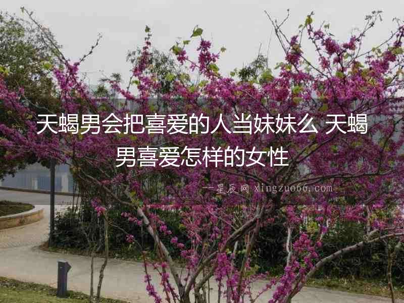 天蝎男會(huì)把喜愛的人當(dāng)妹妹么 天蝎男喜愛怎樣的女性