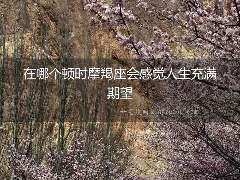 在哪個(gè)頓時(shí)摩羯座會(huì)感覺人生充滿期望