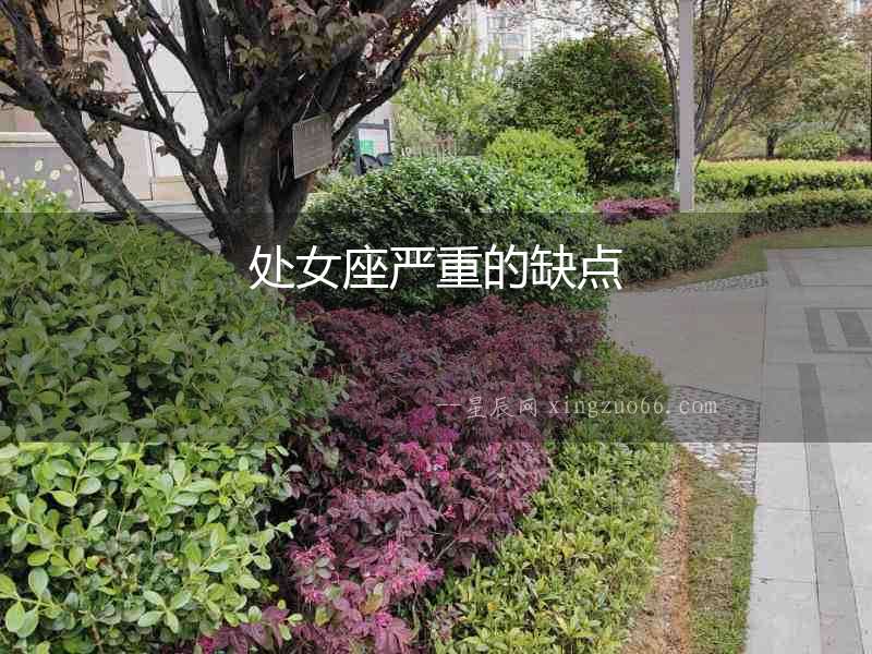 處女座嚴(yán)重的缺點(diǎn)
