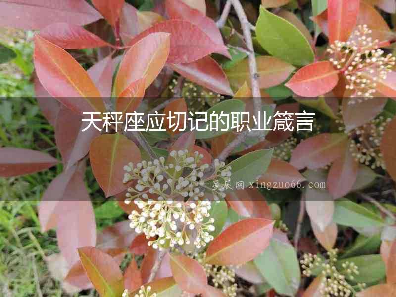 天秤座應切記的職業箴言