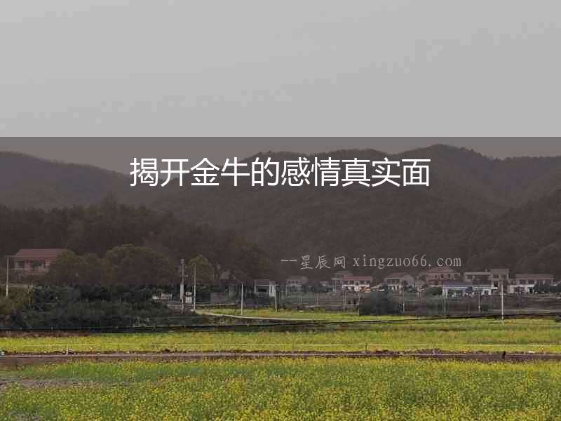 揭開金牛的感情真實面