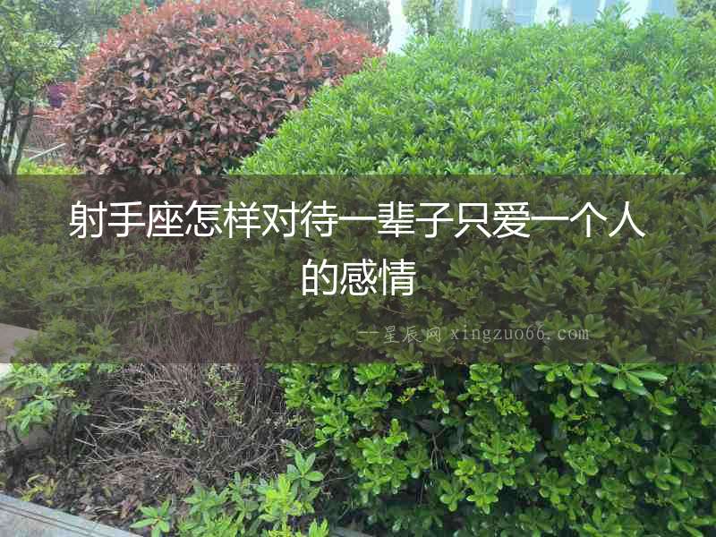 射手座怎樣對待一輩子只愛一個人的感情