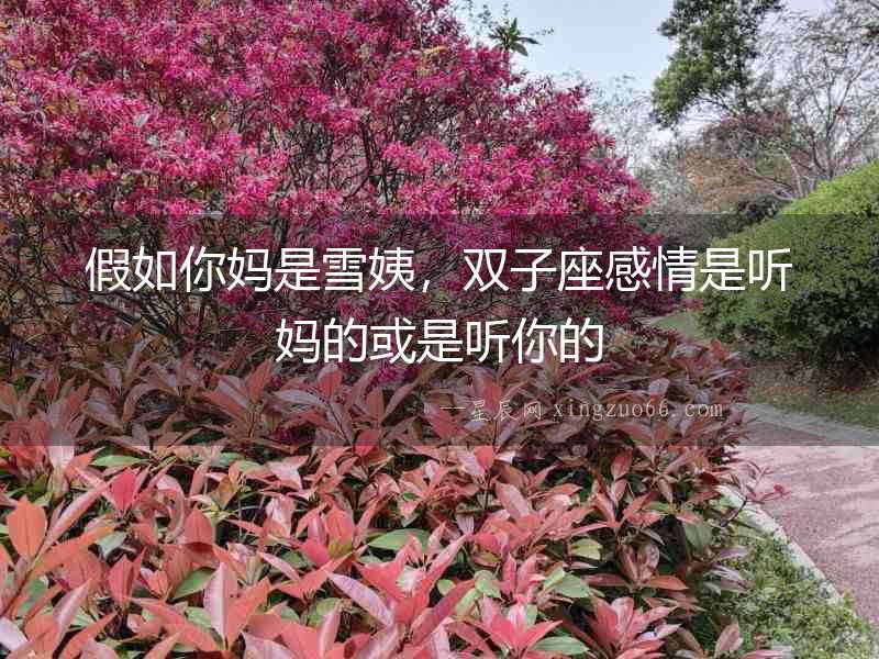 假如你媽是雪姨，雙子座感情是聽媽的或是聽你的