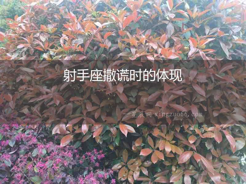 射手座撒謊時(shí)的體現(xiàn)