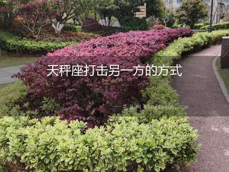 天秤座打擊另一方的方式