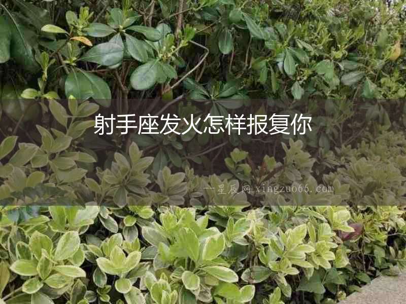 射手座發火怎樣報復你