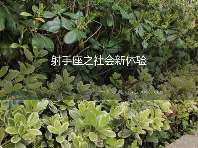 射手座之社會新體驗